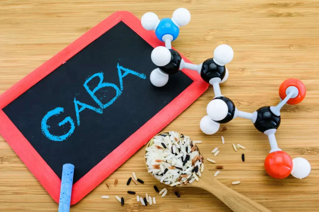 best GABA supplement