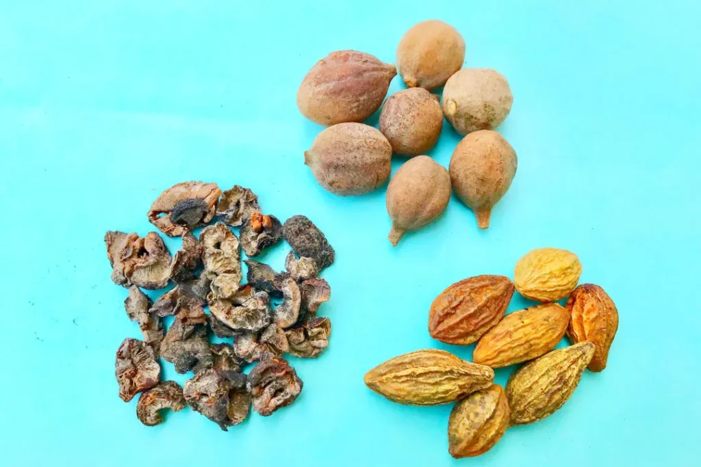 triphala herb